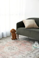 kendra coco peach washable rug kendra coco peach washable rug undefined 2 360x
