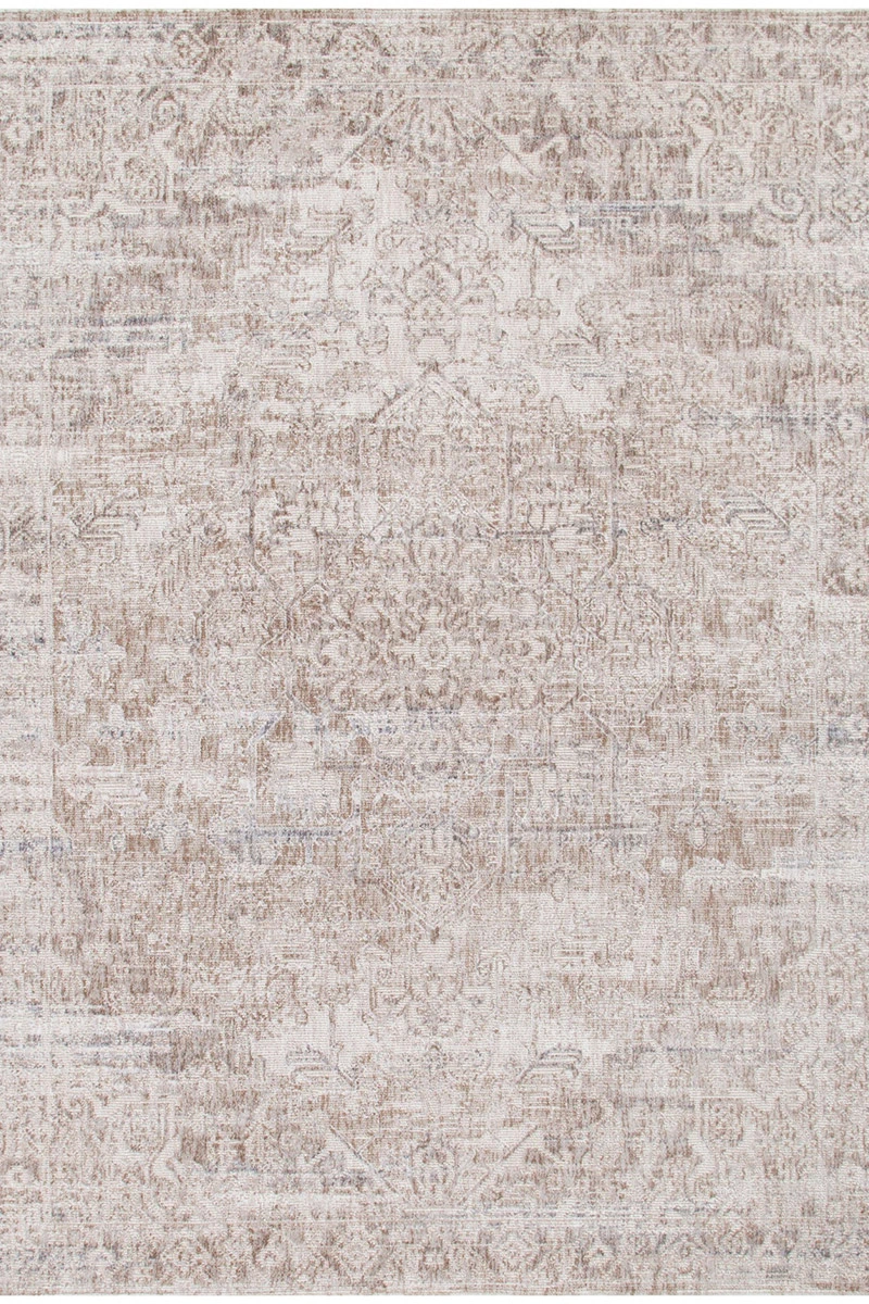 Solenne Beige Distressed Vintage Rug